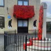 Poppy Display